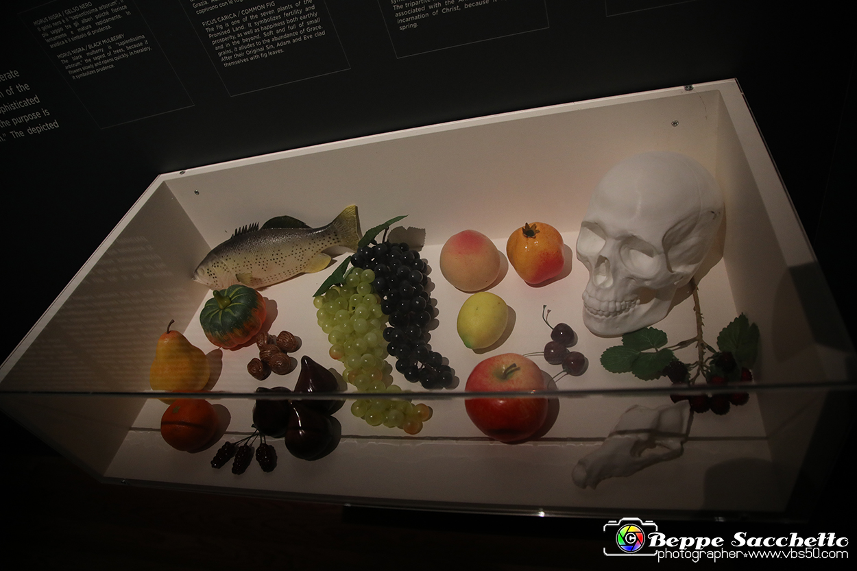 VBS_7763 - La canestra di Caravaggio.jpg